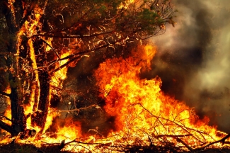 Incendi
